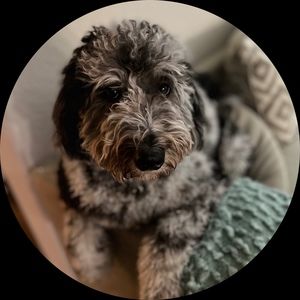 Meet your Posher, Peewee